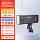 神牛（Godox）AD200proII閃光燈外拍閃光燈鋰電池口袋便攜外拍攝影補(bǔ)光燈單反相機(jī)高速TTL閃光燈 AD200proII【新增雙色溫造型燈】 官方標(biāo)配