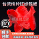 純種臺灣蝴蝶鯉魚好養(yǎng)耐活淡水冷水觀賞魚金魚錦鯉大尾大鰭活體 普身圓手鰭紅蝴蝶】14-16厘米1條