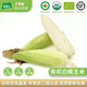有機(jī)匯有機(jī)糯玉米 香甜軟糯煮食玉米 新鮮現(xiàn)摘 有機(jī)種植無(wú)農(nóng)殘 寶寶輔食 玉米5斤