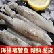 筆管魚新鮮冷凍野生海捕筆管魚小魷魚小海兔子現(xiàn)捕新鮮海鮮水產 筆管魚1000g
