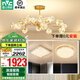 雷士（NVC）北歐現(xiàn)代輕奢智能網紅led螢光客廳吊燈餐廳吊燈中山燈具燈飾套餐 螢光 15頭智能吊燈 【兩室一廳】