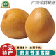 式果禮四川蒼溪大雪梨 廣元特產(chǎn)黃金梨稱坨梨施家梨黃皮梨麻皮新鮮水果 9斤 精選中果【9枚裝】