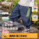 齊齊熊[防褪色軟牛仔褲]齊齊熊男童休閑褲春秋款2024新款男寶寶褲子兒童