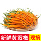 辰實(shí)【現摘現發(fā)】黃貢椒 新鮮黃線(xiàn)椒 辣椒黃二荊條剁椒蔬菜 3斤