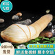 道樓鮮閣 象拔蚌（水蚌）鮮活海產(chǎn)品貝殼類大象鼻象拔蚌多省鮮活發(fā)貨 2只鮮凍發(fā)貨 1000g