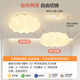 科銳亮奶油風(fēng)云朵led吸頂燈主臥室燈房間客廳燈具大全2025款全光譜護眼 云朵直徑43厘米無極遙控-30瓦