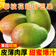 甜果源 四川凱特芒 新鮮芒果大果樹(shù)上青皮現摘芒果應季新鮮熱帶水果包郵 凈重4.8-5斤【80%人選擇】 單果400-500g【80%人選擇】