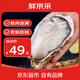 鮮京采【活鮮】生蠔凈重5斤 5XL 9-12只左右 源頭直發(fā) 海鮮水產(chǎn)