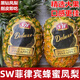 菲律賓sw蜂蜜鳳梨新鮮水果黑鉆鳳梨精選大果樹上熟金菠蘿甜蜜 1顆 單果3.5斤左右