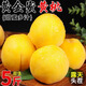 果園創(chuàng  )意山東蒙陰黃桃【閃送】黃金蜜毛桃脆甜桃子水果禮盒端午節送禮 甄選A+3斤