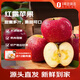 趣嘗鮮 云南紅露蘋(píng)果脆甜冰糖心 凈重4.5斤大果 單果75mm+源頭直發(fā)包郵