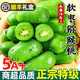【順豐直達(dá)】丹東龍城2號(hào)軟棗獼猴桃 東北軟棗小獼猴桃迷你奇異莓 1斤 10-15g普通裝