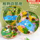 硯璽永生花苔蘚微景觀兒童手工DIY材料包幼兒園竹編創(chuàng)意手工親子活動 苔蘚微景觀22cm竹匾隨機款 打造自然氣息 親子互動更有趣