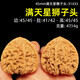 山中玉文玩核桃獅子頭一物一圖青皮官帽手把件四座樓大尺寸生日禮物男 45mm滿天星獅子頭-31433