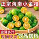 海南小金桔 新鮮水果小青檸檸檬青檸小青柑小青金檸檬薄皮小金桔 【約25-45個】1斤/果大1-25克