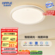 歐普（OPPLE）48瓦吸頂燈客廳臥室燈簡約護(hù)眼智控調(diào)光LED燈具18㎡品見III包安裝