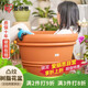 愛(ài)麗思花盆特大號(hào)塑料花盆多肉花盆防陶瓷種花種樹(shù)凸紋愛(ài)麗絲 12號(hào)米白