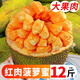 海南黃肉菠蘿蜜整個(gè)紅心新鮮水果干苞果肉整個(gè)熱帶水果非印尼紅 SSS級(jí)【30年老樹紅肉】力薦蕞甜 14-16斤【80%人選】
