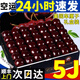 庫瑞美國車(chē)厘子金鉆級【JD/順豐-多地次日達】櫻桃水果送禮中秋節 2.7斤(凈重) 禮箱裝【很劃算】 巨無(wú)霸 4JJJJ級