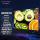 SHARP夏普護(hù)眼電視 新品50/55/65/75/86英寸智慧語(yǔ)音全面屏4K超清網(wǎng)絡(luò)WIFI 手機(jī)投屏智能液晶平板電視機(jī) 65英寸 【24年款3+32G全面屏60HZ】