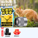 索尼（SONY） E50mm F1.8 OSS  APS-C畫(huà)幅 定焦  50F1.8半畫(huà)幅定焦鏡頭 街拍  特寫(xiě)人像 銀色E50F1.8