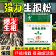 智綠強力生根粉植物通用苗木扦插快速生根液果樹(shù)移栽生根劑花卉營(yíng)養液 快速生根粉10g*15袋