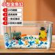 寵街坊魚(yú)缸桌面小型金魚(yú)缸PET魚(yú)缸一體缸透明生態(tài)烏龜缸客廳家用送禮