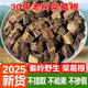 秦嶺深山真野生葛根精選無(wú)硫正品中藥材葛根塊泡水泡茶純野生道地 秦嶺野生葛根塊【500g】