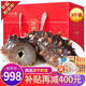 官參堂 大連底播即食海參新鮮遼刺參海鮮水產(chǎn)禮盒 1500g 21-27只 尊享