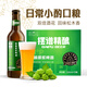 擺譜啤酒 11度拉格黃啤 精釀原漿啤酒 青島特產(chǎn)全麥啤酒整箱瓶裝 【雙倍酒花香】 330mL 12瓶