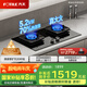 方太灶具TF29B燃氣灶爐雙灶家用嵌入式5.2kW*猛火一級能效70%熱效率可調節(jié)底盤 天然氣/液化氣可選 70%熱效率天然氣 可調節(jié)猛火新款灶具