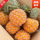 鏡花汐海南芒果鳳梨當(dāng)季新鮮鳳梨菠蘿現(xiàn)摘現(xiàn)發(fā)整箱脆甜多汁臺(tái)農(nóng)23號(hào)順豐 3斤 金鉆鳳梨-中果(單果750g)