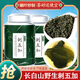 御參坊刺五加茶葉長白山刺五加葉茶新鮮嫩葉茶東北睡眠養(yǎng)生茶花草茶 刺五加茶150克*2罐