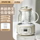 斗禾(DOUHE) 全玻璃壺體養生壺煮茶壺煮茶器辦公室家用0膠水玻璃花茶壺燒水壺電熱水壺電燉壺茶壺煮水 茶濾款【24H預約 800W】奶油白 1.2L