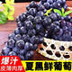 裕農(nóng)叔【JD順豐】夏黑葡萄新鮮水果脆甜無籽黑葡萄提子巨孕婦峰生鮮包郵 凈重4.8斤（家庭暢享）