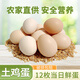 云依禾農(nóng)莊 新鮮現(xiàn)撿土雞蛋谷物蟲草柴雞蛋 笨雞蛋生鮮  單枚約40g 土雞蛋12枚