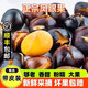 【順豐】新鮮廣西鳳眼果 蘋婆果九層皮富貴子 軟糯香甜煲湯靚 去皮帶殼發(fā)貨 500g