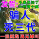 驅(qū)蟬神器驅(qū)知了專用香精包室外樹上超強(qiáng)驅(qū)趕擾民知了猴嚇蟬克星藥 一袋裝 【驅(qū)蟬香包 30包】