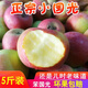 東北國光蘋果5斤/10斤新鮮應季水果酸甜5斤 5斤中果