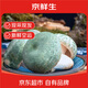 京鮮生云南野生鮮菌菇【新鮮青頭菌】?jì)糁?50g 煲湯火鍋食材 源頭直發(fā)