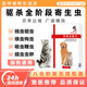修正寵慕貓咪狗狗通用寵物驅(qū)蟲藥體內(nèi)驅(qū)蟲貓抗蠕蟲利無影芬苯達唑片 體內(nèi)驅(qū)蟲芬苯達唑片 6片/盒