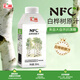 匯源100%果汁NFC白樺樹(shù)原汁200ml*10非濃縮還原果汁禮盒裝