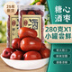 唐玉（TANGYU） 山西特產(chǎn)糖心酒棗桶裝醉棗鮮食甜脆大紅棗子酒泡棗精選零食小吃 280g*1罐【小罐嘗鮮】