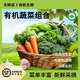 有機蔬菜組合新鮮配送時(shí)令順豐輔食沙拉榨汁西芹蘿卜西蘭花6種8種 有機蔬菜自選6種（菜單聯(lián)系客服