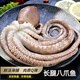 大長(cháng)腿八爪魚(yú)鮮活速網(wǎng)紅爆頭凍商用活的冷凍特大海鮮水產(chǎn) 長(cháng)腿八爪魚(yú)小號2-6只左右【2斤】