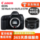 佳能 canon 1DX 單機5D3 5D4全畫(huà)幅二手單反相機5DII 5DIII 5D4+佳能50mmF1.8三代小痰盂套機 85新