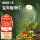 三思京東集采JC系列全光譜植物燈補光燈國家補貼植物生長盆夾燈-7W