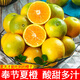 東西農產地直發(fā)重慶奉節(jié)倫晚臍橙橙子新鮮水果甜鮮當季橙子禮盒裝非秭歸 臍橙帶箱10斤80-85mm