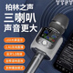 YTFY柏林之聲話筒音響麥克風(fēng)一體炫聲卡專(zhuān)業(yè)全民唱歌車(chē)載錄音戶外K歌 雙人尊享版金槍黑+雅致銀