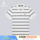 哈吉斯（HAZZYS）男裝 夏款短袖上衣通勤撞色橫條紋polo衫男ASTZE0BBE12 白色WT XL (180/100A 50)